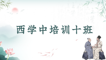 西学中培训十班