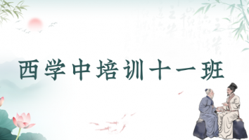 西学中培训十一班